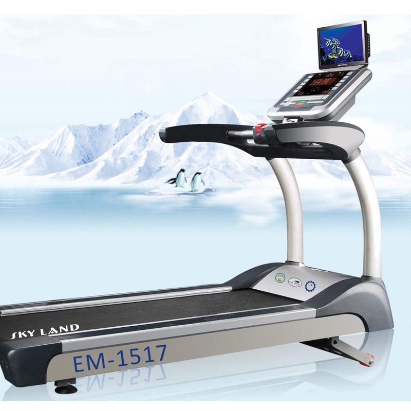 Skyland Commercial Treadmill - EM-1517