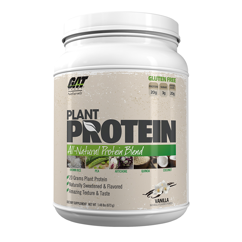 GAT Plant Protein 20 Servings Best Price in UAE