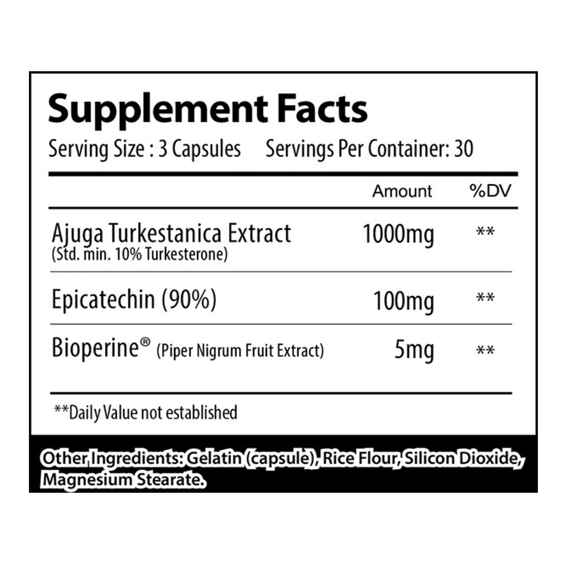 Alpha Supps Turk 90 Capsule Best Price in Dubai