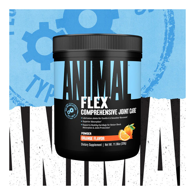 Animal Flex Comprehensive Joint Care Powder 369 G - Orange Best Price in Dubai