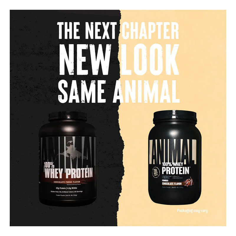 Animal Pak Animal 100 Whey Protein 4 lbs - Chocolate Best Price in Abu Dhabi