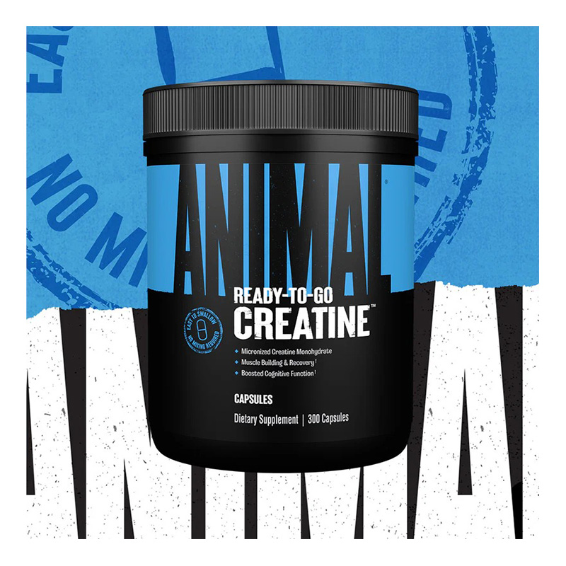 Animal Pak Animal Micornized Creatine Capsules 300 Best Price in Dubai