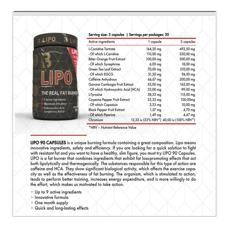 Big Fit Nutrition Lipo 90 Caps Best Price in UAE