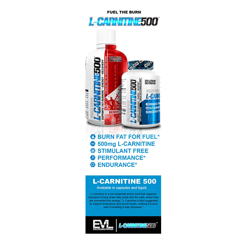 EVL L-Carnitine 500 - 60 Caps Best Price in UAE