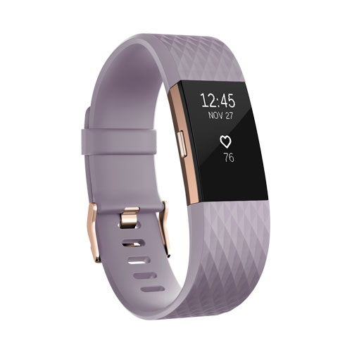 Fitbit Charge 2 Lavender Rose Gold Special Edition Large Price Dubai 