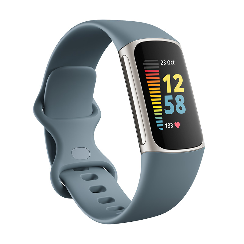 Fitbit Charge 5 Stainless Steel Activity Tracker - Blue Best Price in UAE