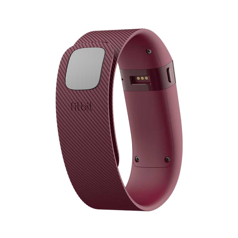 Fitbit Charge Burgundy Small Price in Dubai 