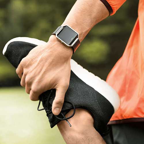 Fitbit Distributor 