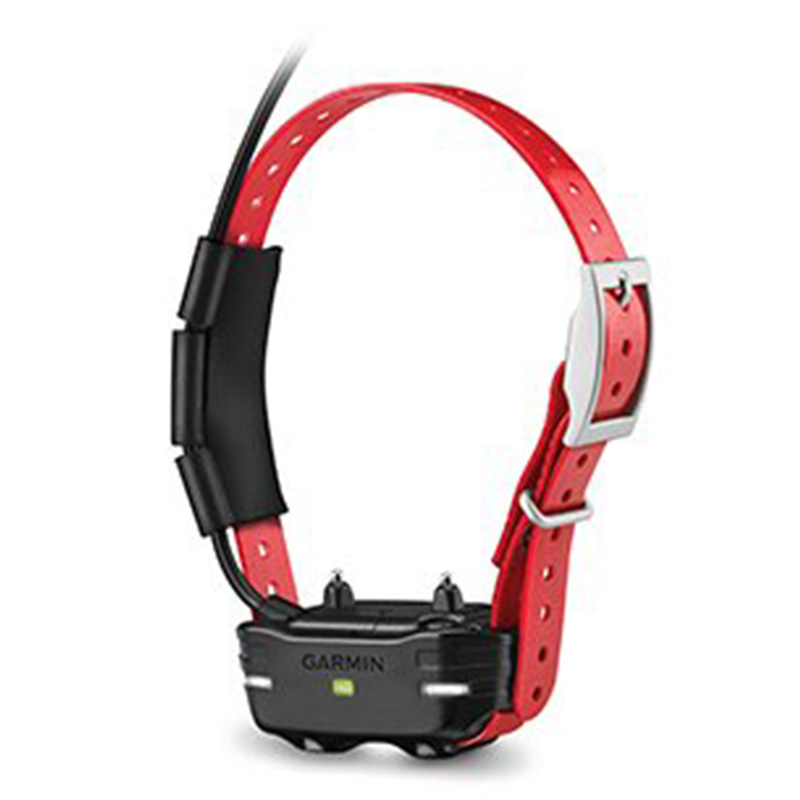 Garmin PT 10 Dog Device Red Collar Best Price in UAE