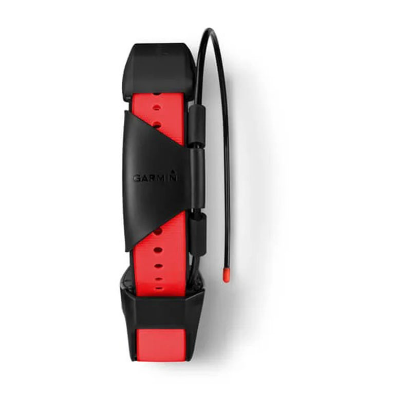 Garmin TT 15X Dog Collar Tracking and Training Collar Best Price in Fujairah