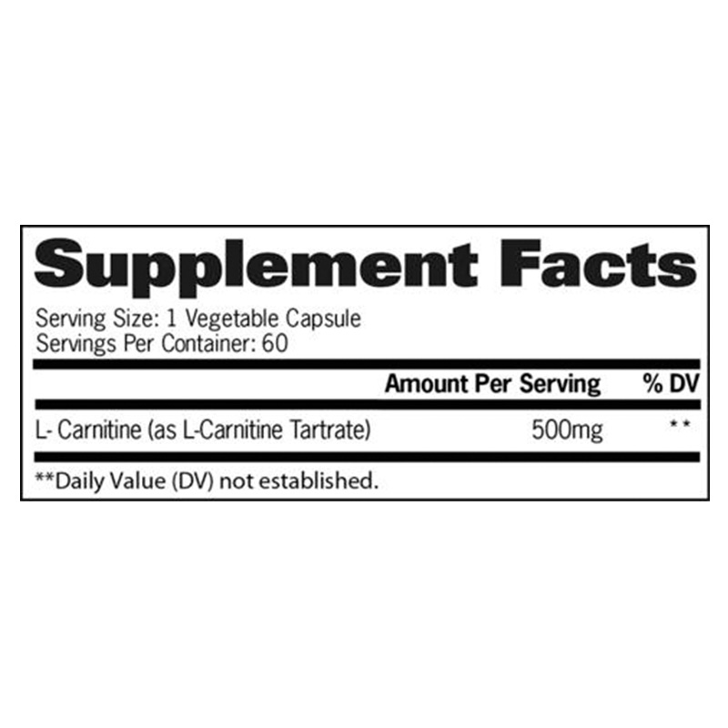 GAT Essentails L-Carnitine 60 Caps Best Price in Dubai