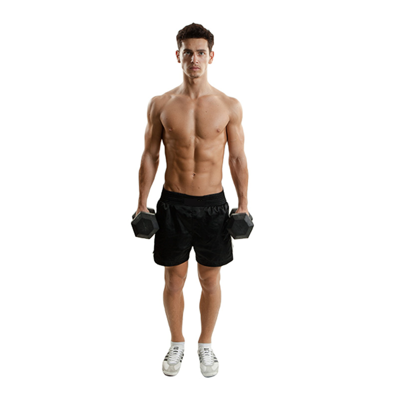 Hexoga Dumbbell 8 Kg Best Price in UAE