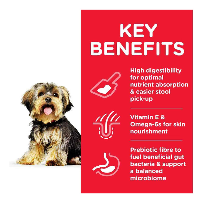 Hills Science Plan Adult Small & Mini Dog Sensitive Stomach & Skin Food With Chicken 1.5 Kg Best Price in Abu Dhabi