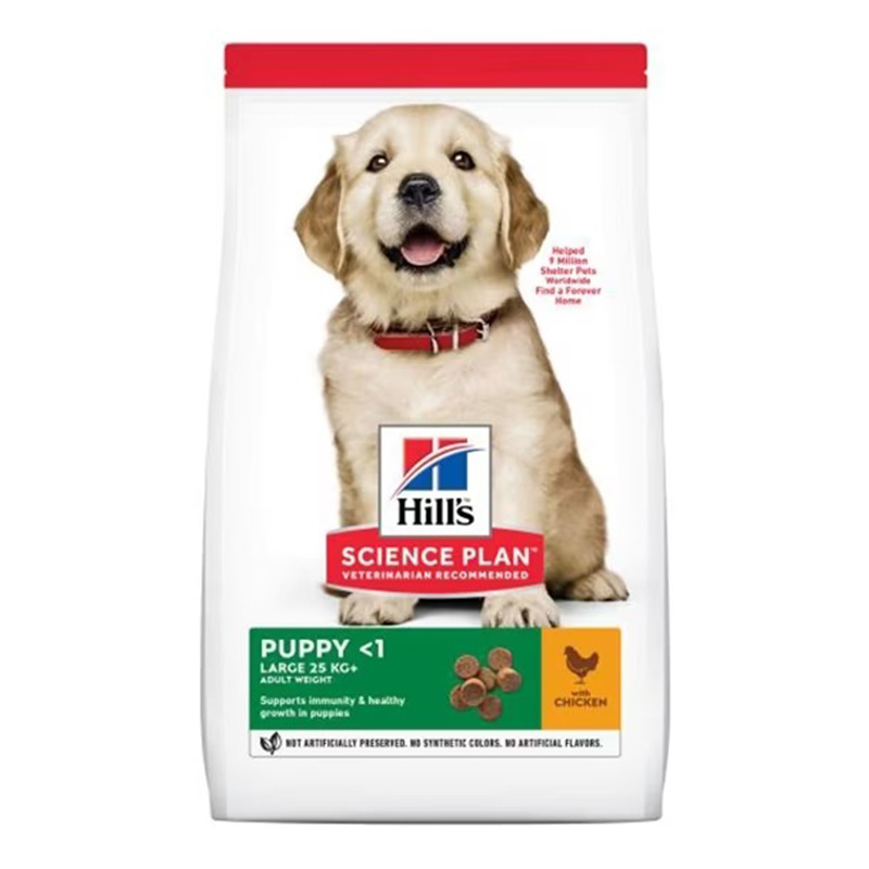 Hills Science Plan Large Breed Puppy Food With Chicken 2.5 Kg