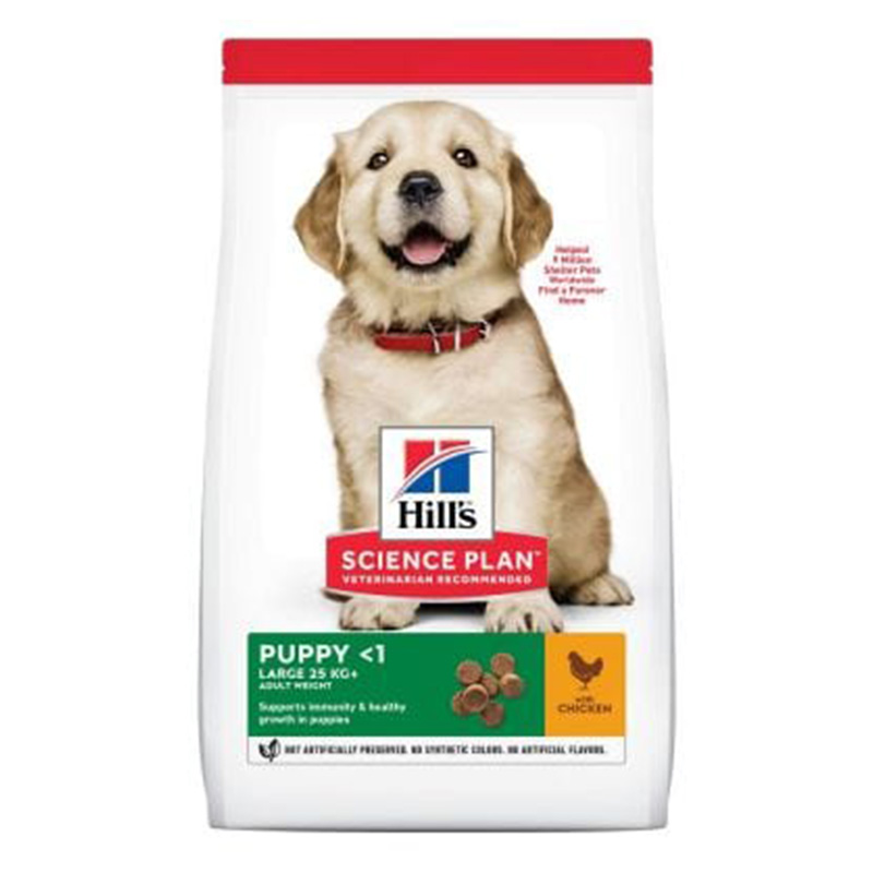 Hills Science Plan Puppy Large Breed Dry Food With Chicken 16 Kg