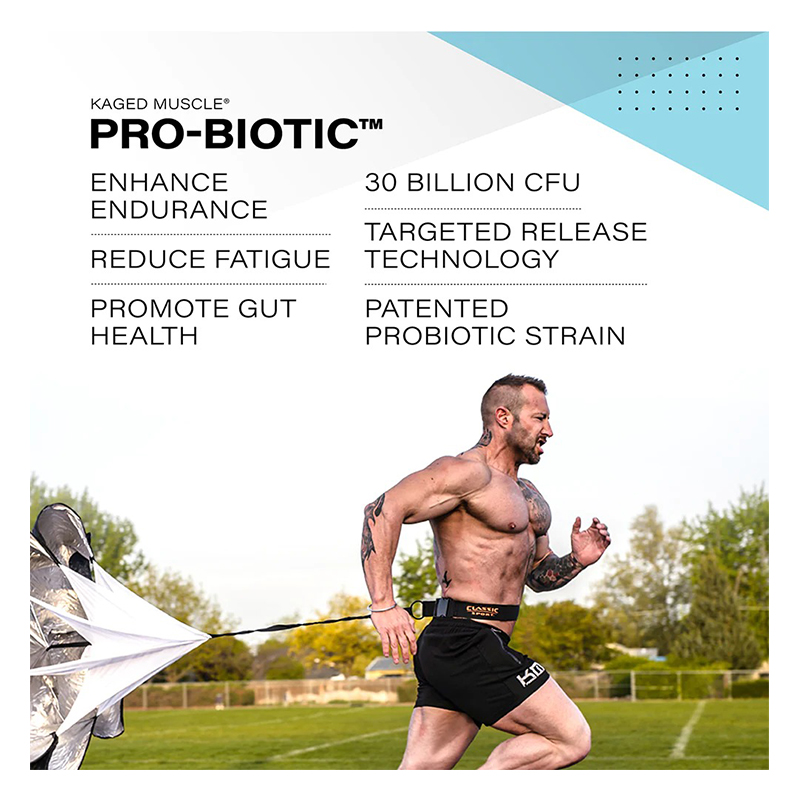 Kaged Pro Biotic 90 Caps Best Price in Abu Dhabi