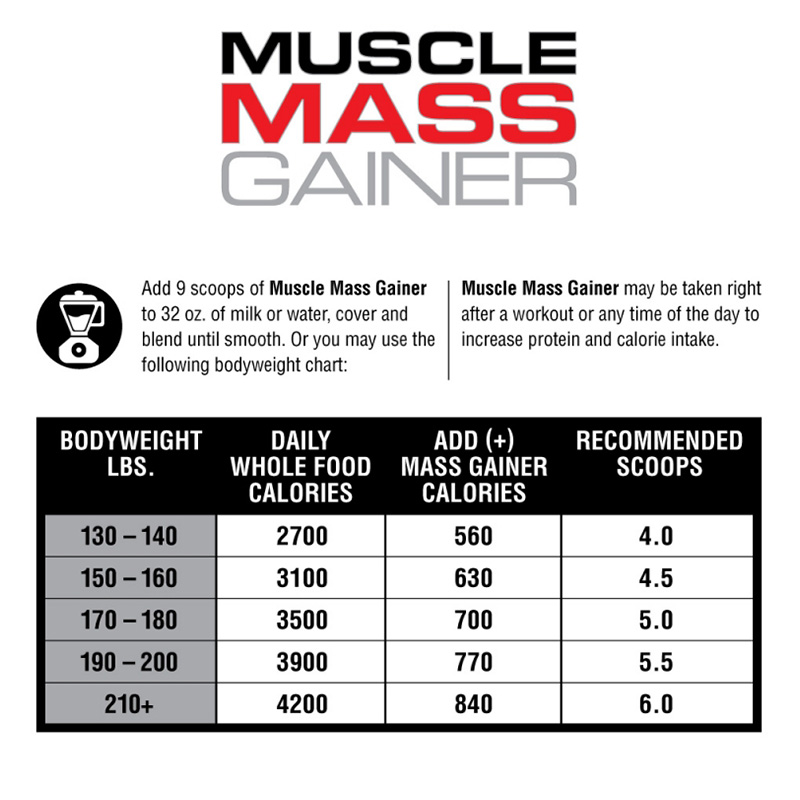 Labrada Muscle Mass Gainer 12 lbs 16 Serv Best Price in UAE
