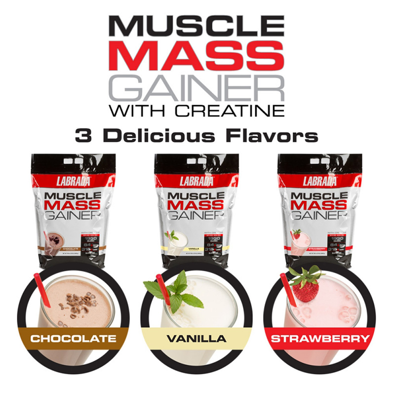 Labrada Muslce Mass Gainer 12lb / 16 Best Price in UAE