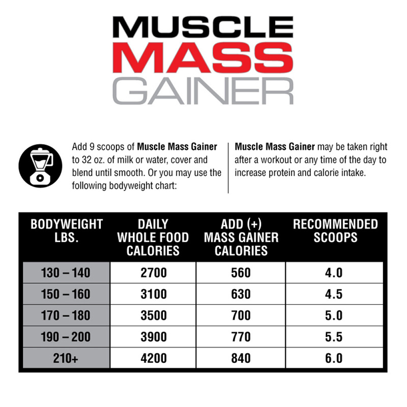 Labrada Muslce Mass Gainer 12lb / 16 Best Price in UAE