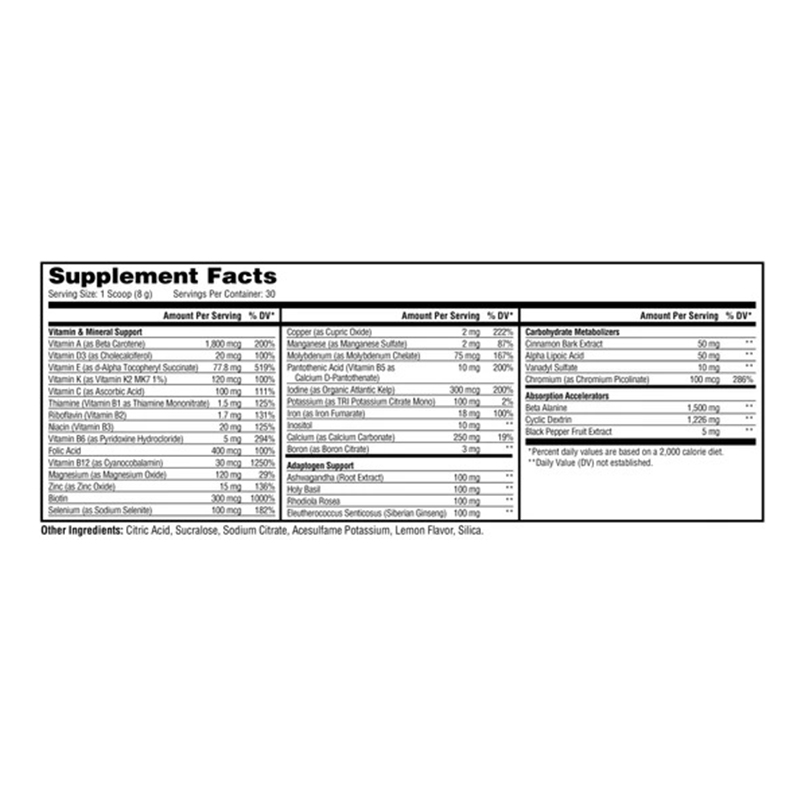 Metabollic Nutrition Vitagen 240 G - Lemonade Best Price in Dubai