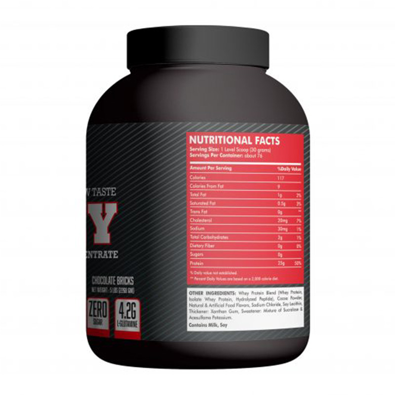 Monster Labs 100% Whey 5 lbs - Chocolate Bricks Best Price in Abu Dhabi