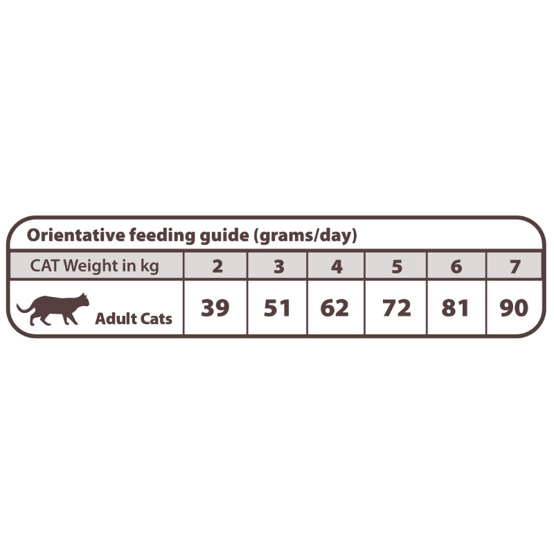 Natural Greatness Vet Diet Gastrointestinal Adult Cat 5 Kg Best Price in Dubai