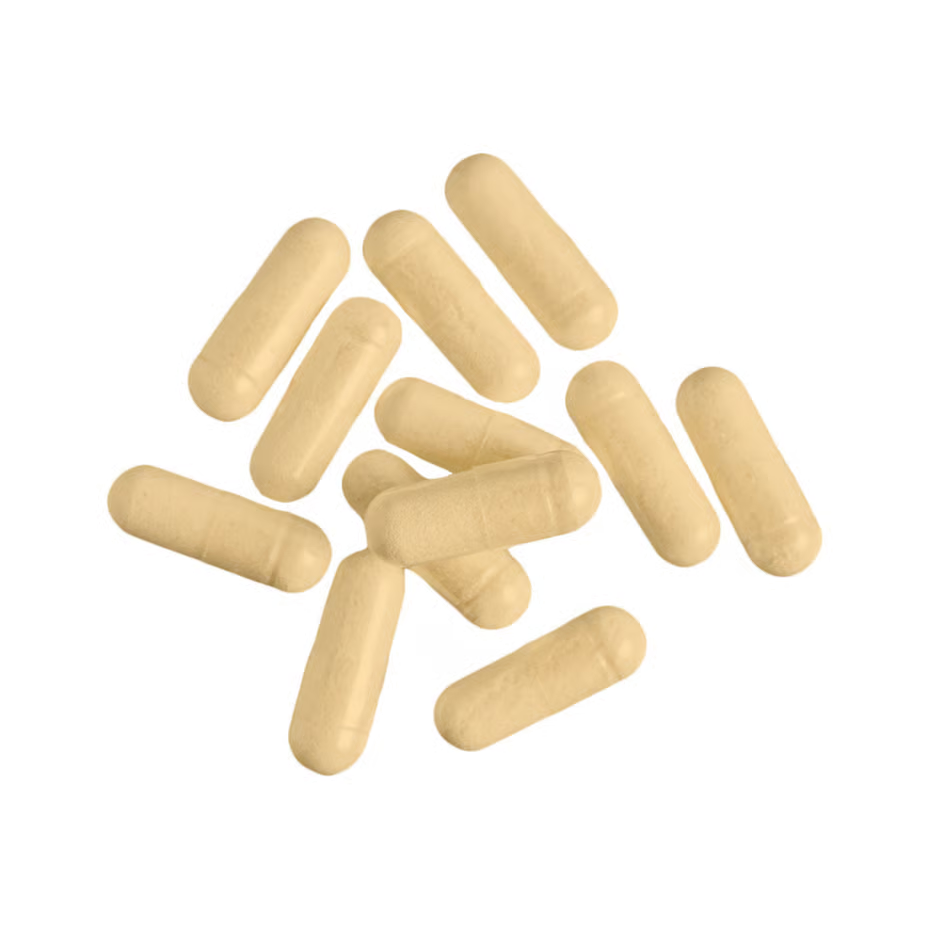 Nutrend Ashwagandha 60 Caps Best Price in Dubai