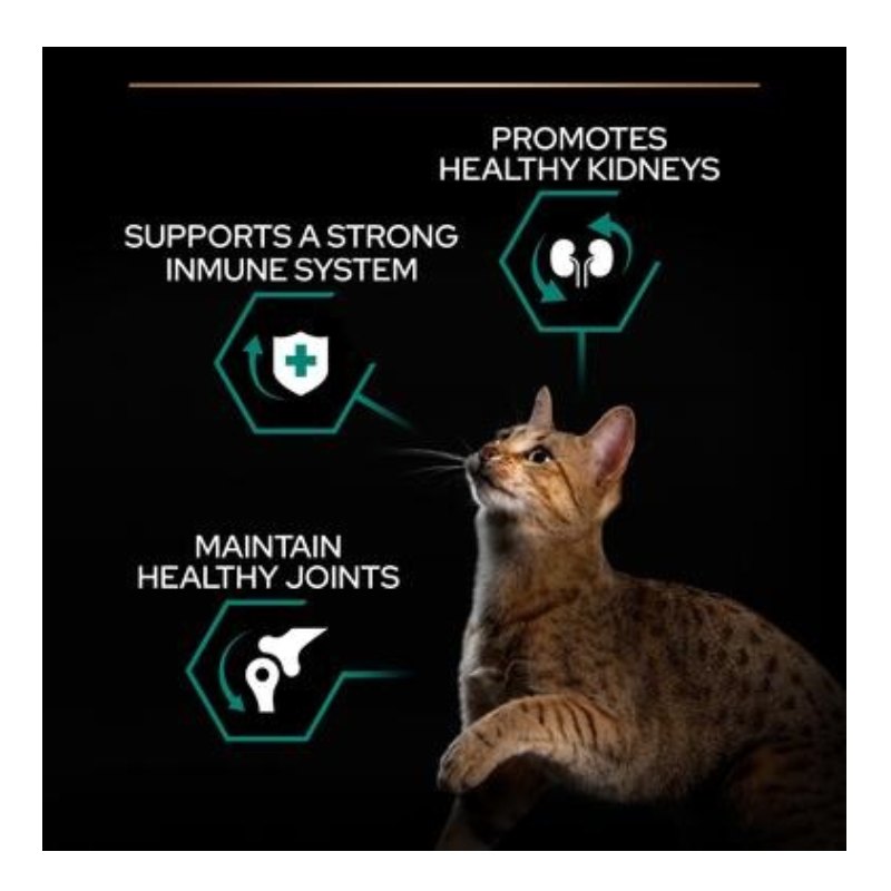Purina Pro Plan Adult Renal Plus Everyday Dry Cat Food with Chicken 1.5kg Best Price in Al Ain