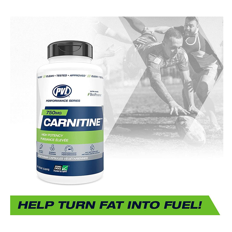 PVL Natural Series Carnitine 750 MG - 90 Capsules Best Price in Abu Dhabi