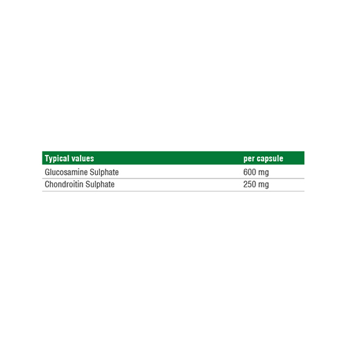 Reflex Glucosamine Chondroitin 850mg 90 Caps Best Price in UAE