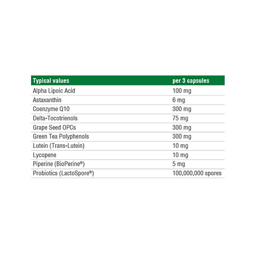 Reflex Sports Antioxidants-90 Caps Best Price in UAE
