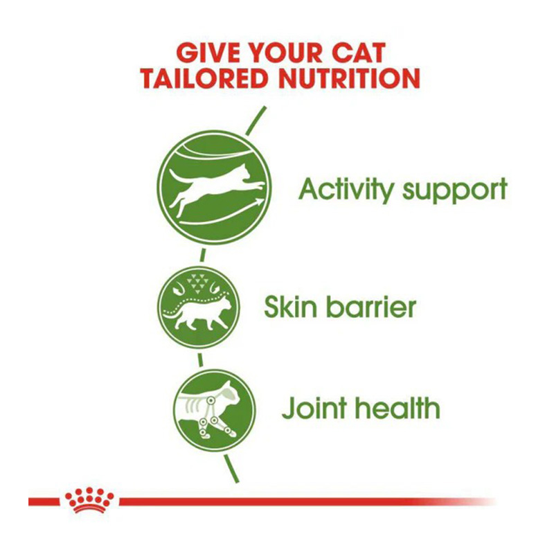 Royal Canin Active Life Outdoor Cat Food 2 Kg Best Price in UAE