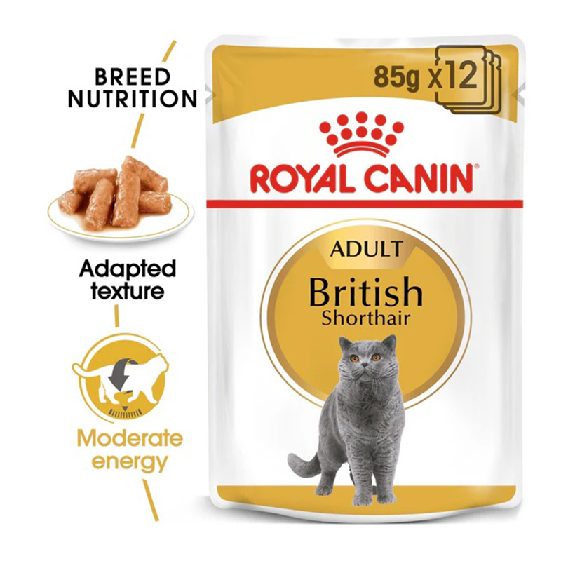 Royal Canin British Shorthair Adult Cat Food 85 g x 12 Best Price in Dubai