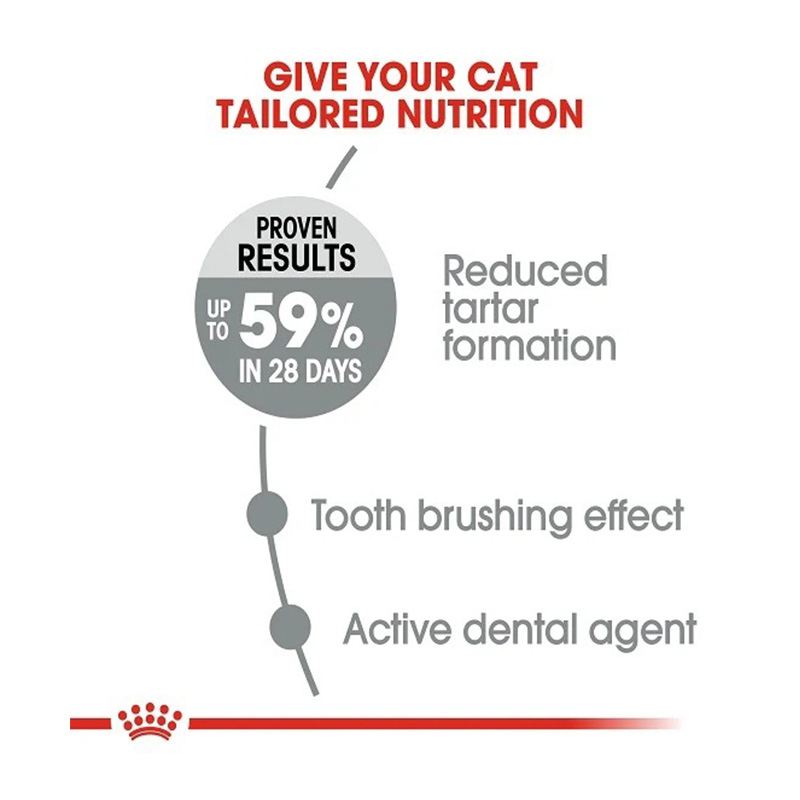 Royal Canin Dental Care Adult Dry Cat Food 1.5Kg Best Price in Abu Dhabi