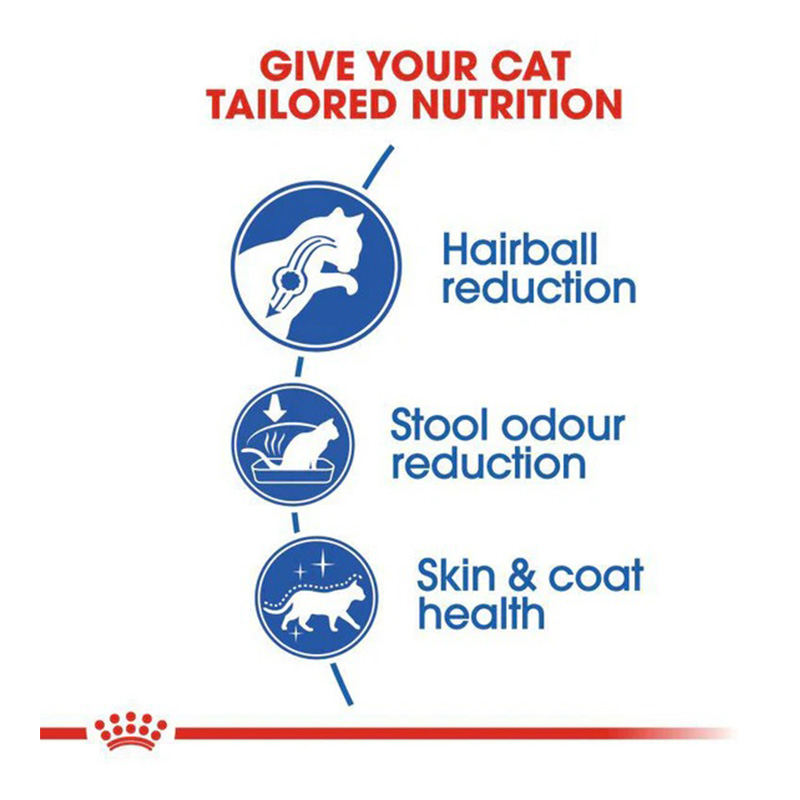 Royal Canin Home Life Indoor Long Hair Adult Cat Food 2 Kg Best Price in UAE Best Price in UAE