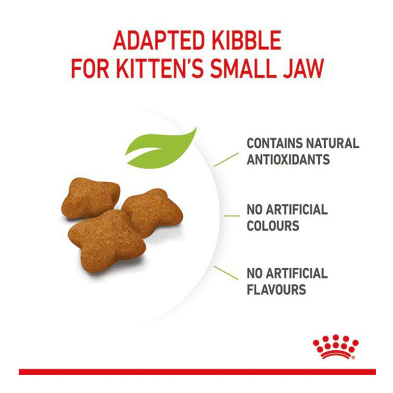 Royal Canin Kitten Sterilised Food 2 Kg Best Price in Dubai