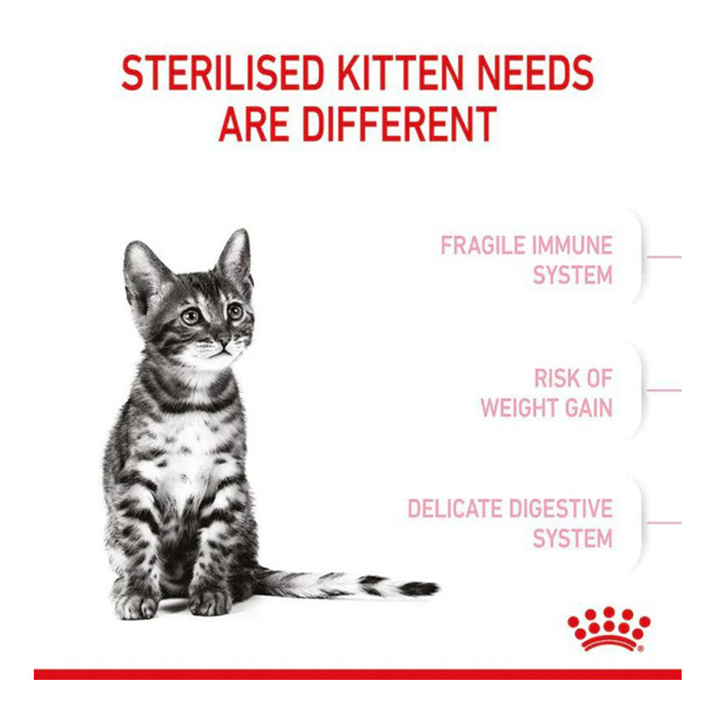 Royal Canin Kitten Sterilised Food 2 Kg Best Price in UAE