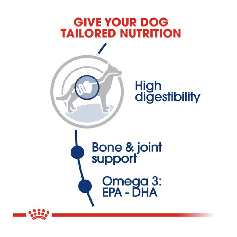 Royal Canin Maxi Adult Dog Food 10 Kg Best Price in Abu Dhabi