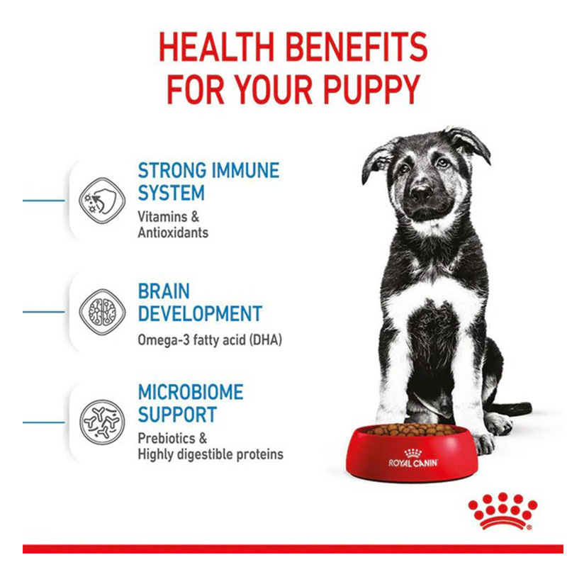 Royal Canin Maxi Puppy Food 1 Kg Best Price in Dubai