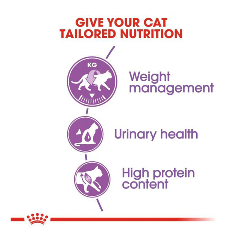 Royal Canin Regular Sterilised Cat Food 2 Kg Best Price in UAE