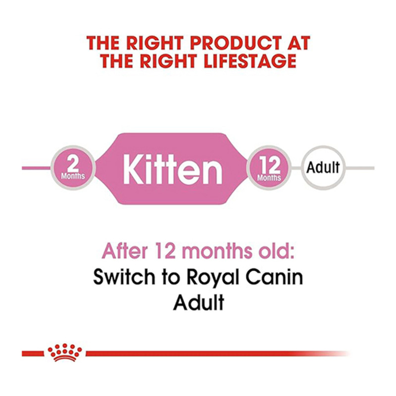 Royal Canin Second Age Kitten Food 10 Kg Best Price in Abu Dhabi