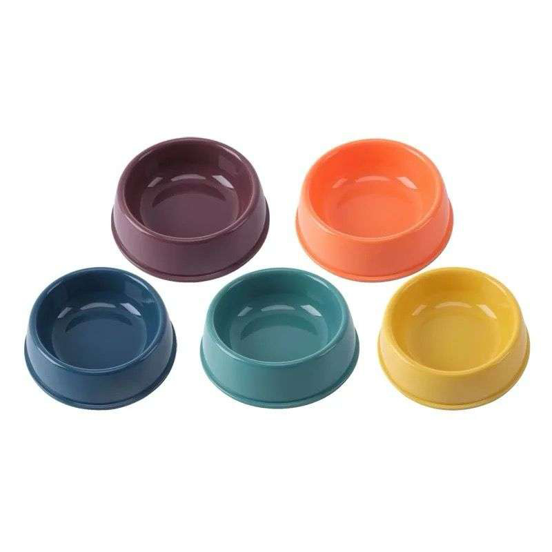 Single Feeding Bowl L - 10005 Best Price in Dubai