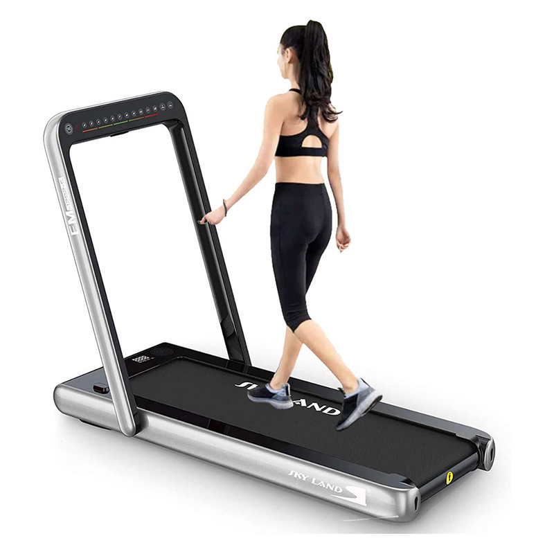 Sky Land 2 In 1 Treadmill Machine Walking Pad With Remote & Bluetooth Speaker