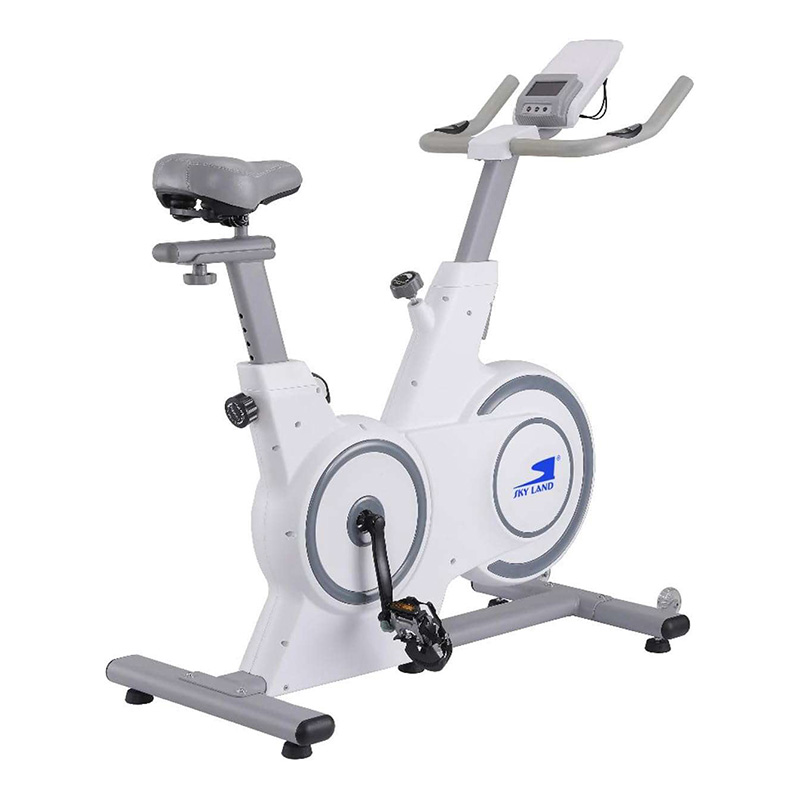 Sky Land Indoor Spin Bike with Fit Show App