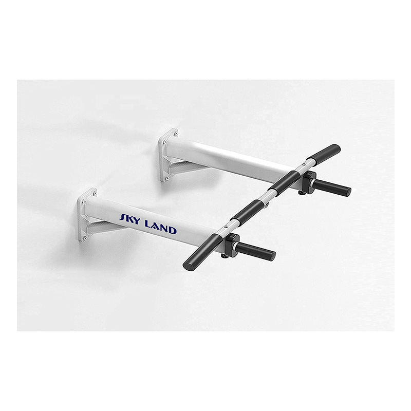 Sky Land Unisex Adult Multifunctional Wall Mounted Pull Up Bar White - Large