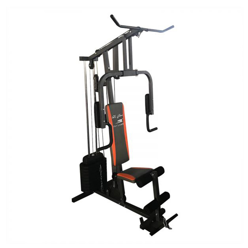 Skyland Home Use single gym station - GM-8133 Best Price in UAE