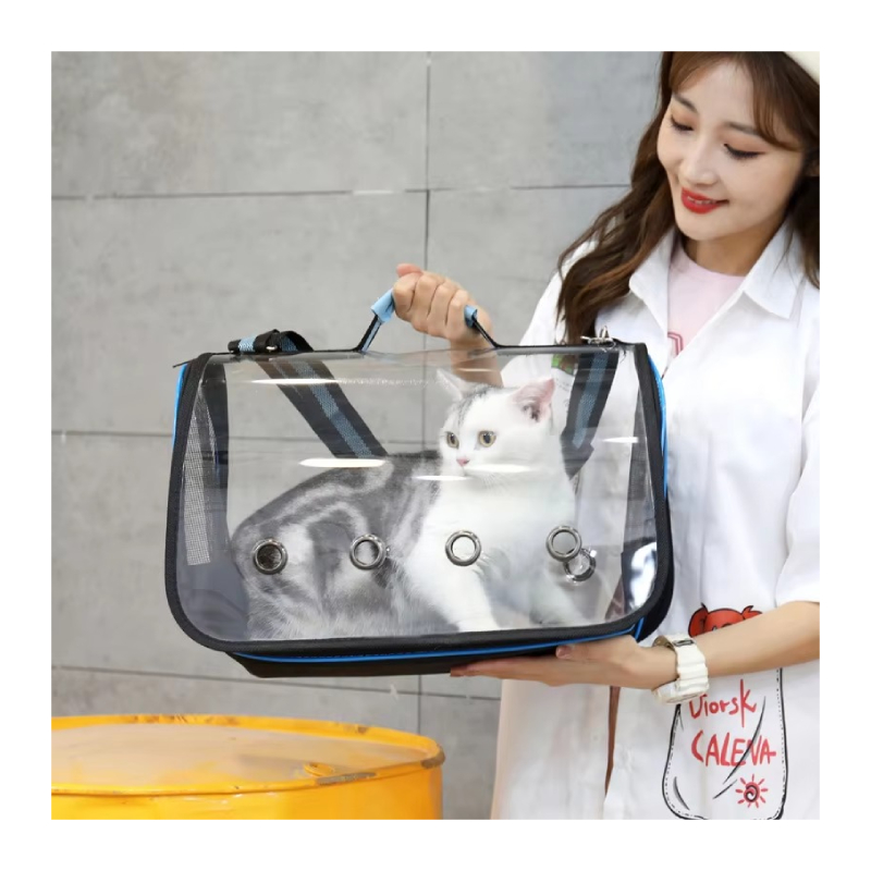 Transparent Cat Portable Folding Bag Small - 8106 Best Price in Dubai