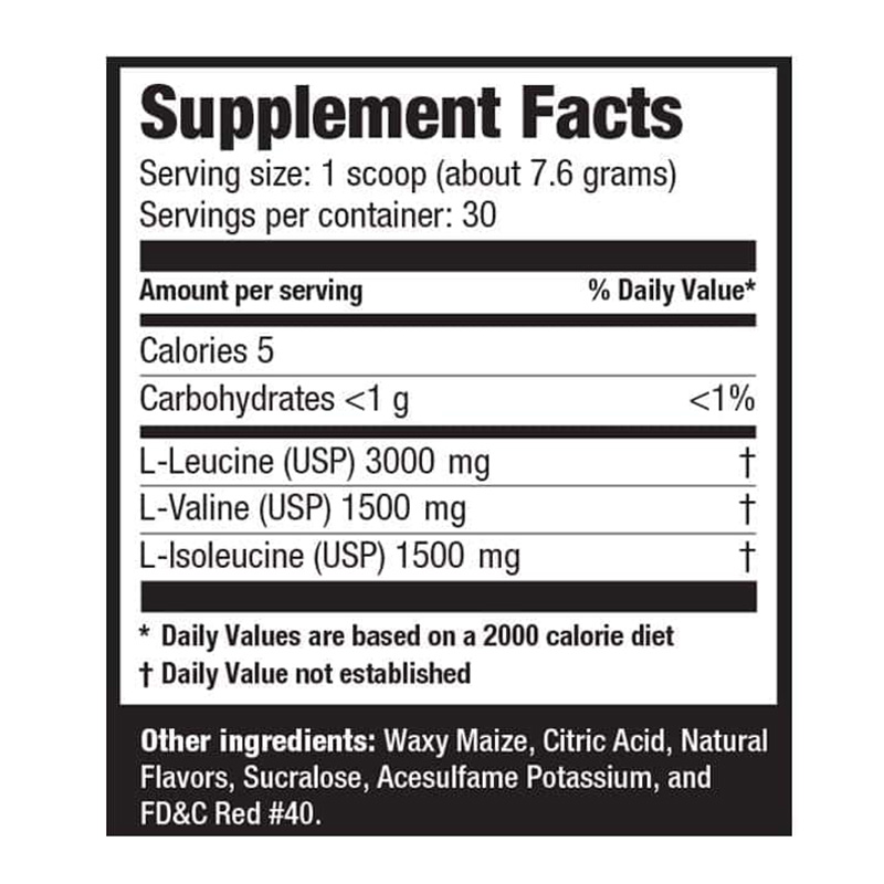 Ultimate Nutrition Flavored BCAA Powder 12000 60 Servings - Watermelon Best Price in Dubai