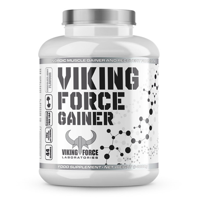 Viking Force Gainer 4000g Best Price in UAE