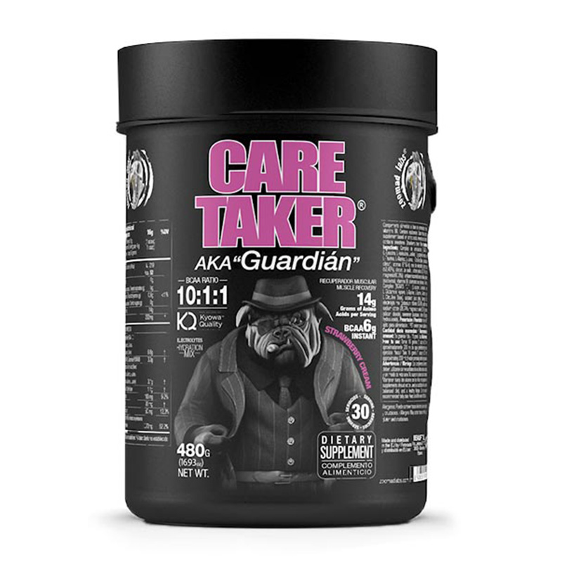 Zoomad Labs Care Taker BCAA 480 G Best Price in Ajman